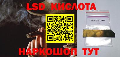 Альфа ПВП Ярославль
