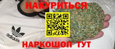 крисы Анапа