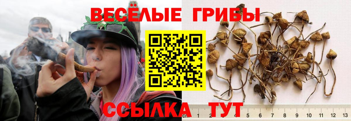 Бахчисарай  Псилоцибиновые грибы мухоморы  Вход с VPN  Галлюциногенные грибы GOLDEN TEACHER 